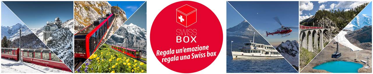 swbx bannerita